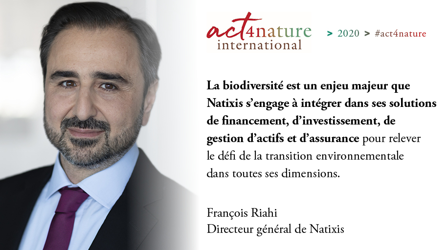 Natixis 2020