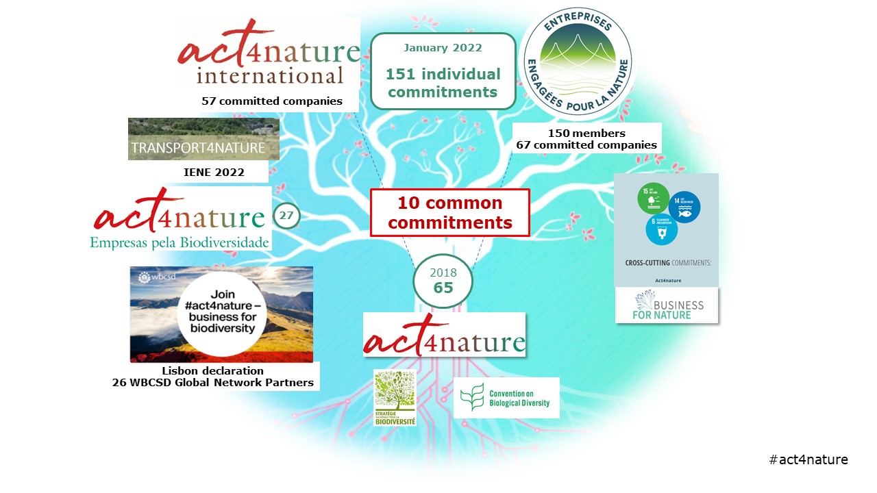 arbre act4nature EN
