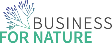 BFN_LOGO_RGB